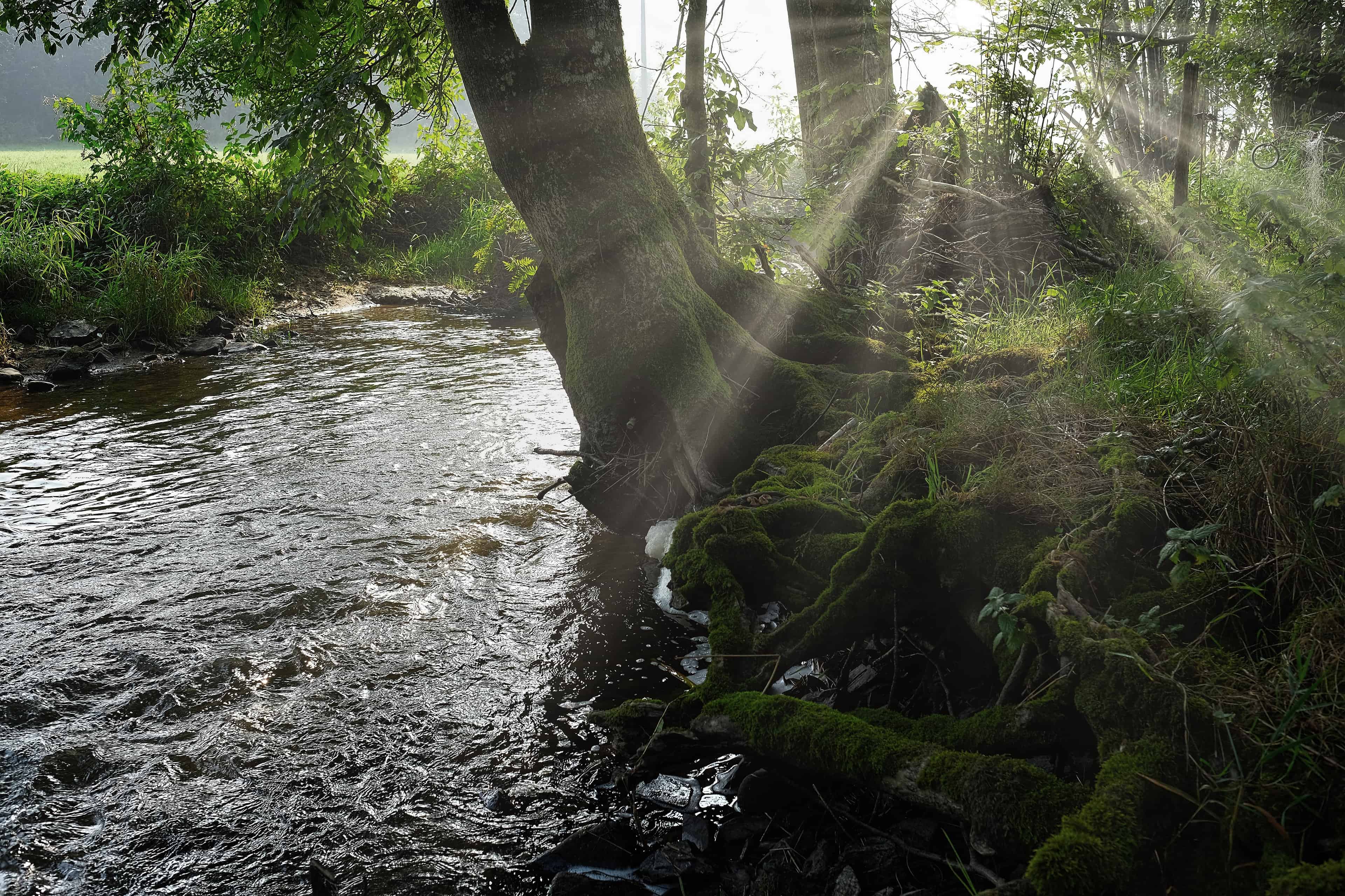 Image d'une riviere